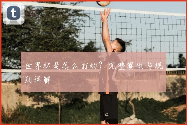 世界杯是怎么打的？完整赛制与规则详解