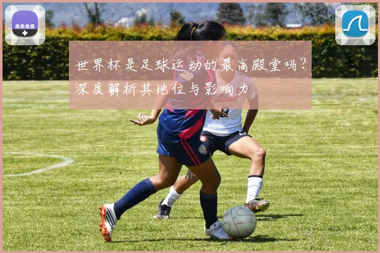 世界杯是足球运动的最高殿堂吗？深度解析其地位与影响力