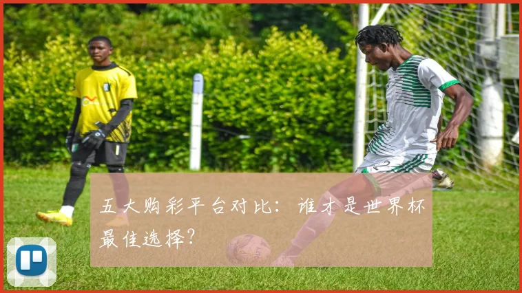 五大购彩平台对比:谁才是世界杯最佳选择?
