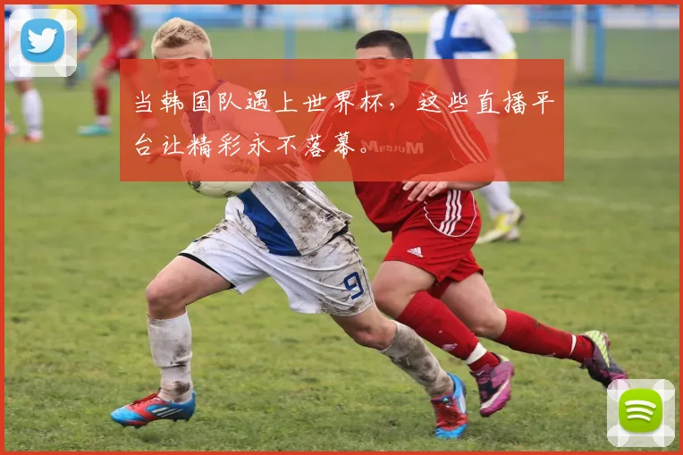 当韩国队遇上世界杯，这些直播平台让精彩永不落幕。